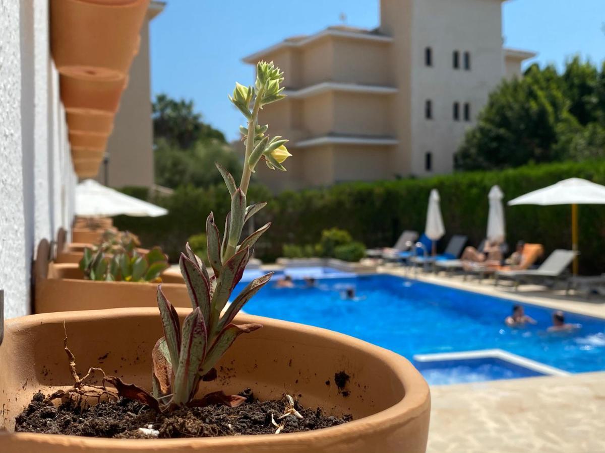 Appartement Sureda